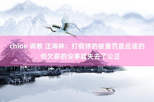 chloe 调教 汪海林:打假球的被重罚是应该的,但欠薪的没事就失去了公正