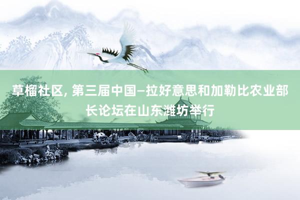 草榴社区, 第三届中国—拉好意思和加勒比农业部长论坛在山东潍坊举行