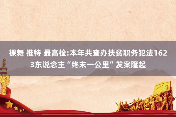 裸舞 推特 最高检:本年共查办扶贫职务犯法1623东说念主“终末一公里”发案隆起