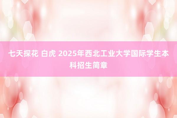七天探花 白虎 2025年西北工业大学国际学生本科招生简章