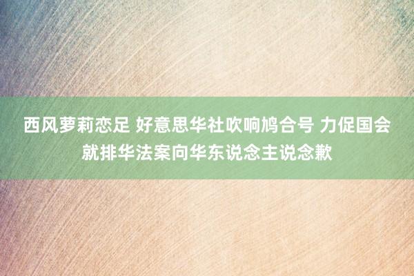 西风萝莉恋足 好意思华社吹响鸠合号 力促国会就排华法案向华东说念主说念歉