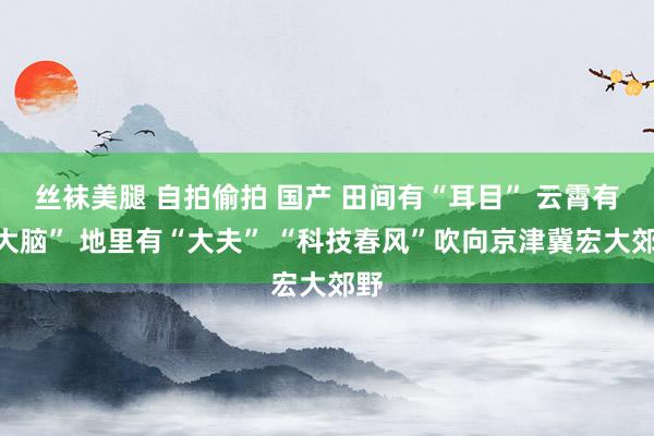丝袜美腿 自拍偷拍 国产 田间有“耳目” 云霄有“大脑” 地里有“大夫” “科技春风”吹向京津冀宏大郊野