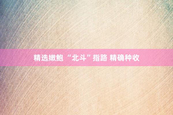 精选嫩鲍 “北斗”指路 精确种收