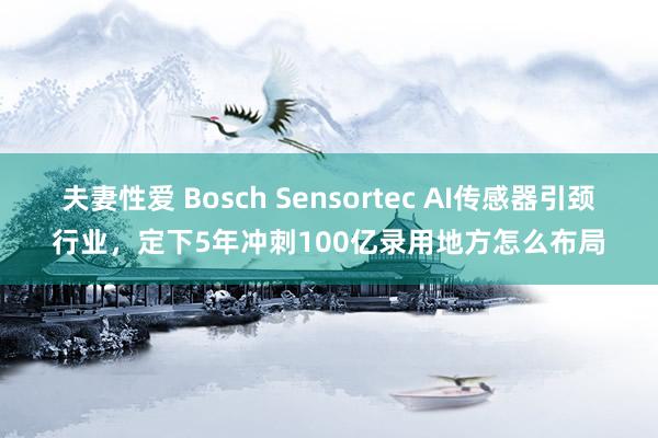夫妻性爱 Bosch Sensortec AI传感器引颈行业，定下5年冲刺100亿录用地方怎么布局