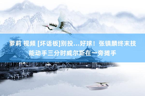 萝莉 视频 [坏话板]别投...好球！张镇麟终末技能动手三分时威尔斯在一旁摊手