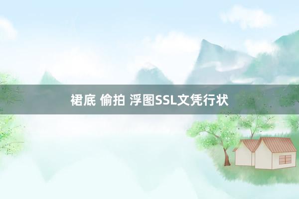 裙底 偷拍 浮图SSL文凭行状