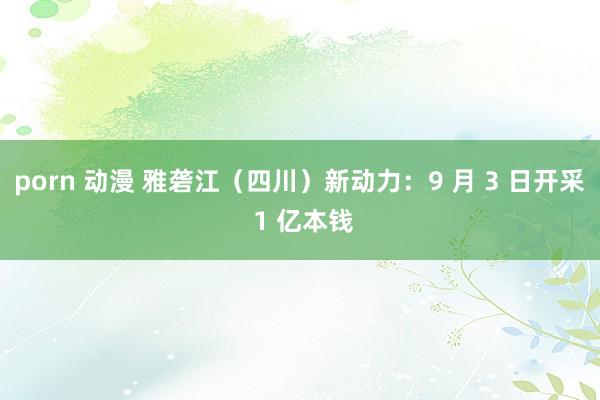 porn 动漫 雅砻江（四川）新动力：9 月 3 日开采 1 亿本钱