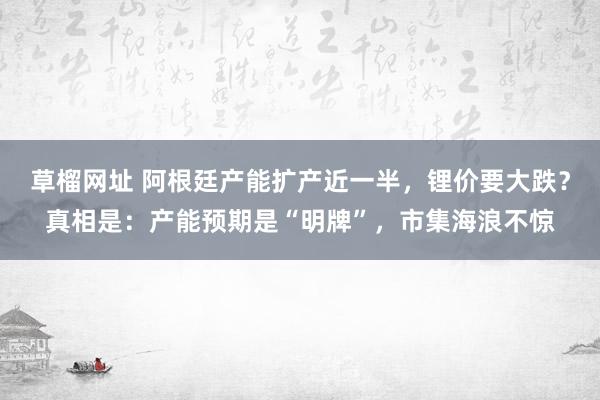 草榴网址 阿根廷产能扩产近一半,锂价要大跌?真相是:产能预期是“明牌”,市集海浪不惊