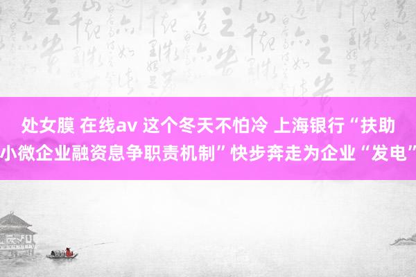 处女膜 在线av 这个冬天不怕冷 上海银行“扶助小微企业融资息争职责机制”快步奔走为企业“发电”