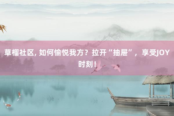 草榴社区, 如何愉悦我方?拉开“抽屉”,享受JOY时刻!
