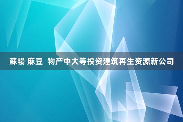 蘇暢 麻豆 物产中大等投资建筑再生资源新公司