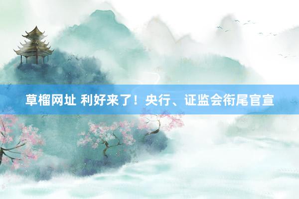 草榴网址 利好来了!央行、证监会衔尾官宣