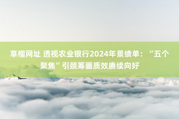 草榴网址 透视农业银行2024年景绩单:“五个聚焦”引颈筹画质效赓续向好